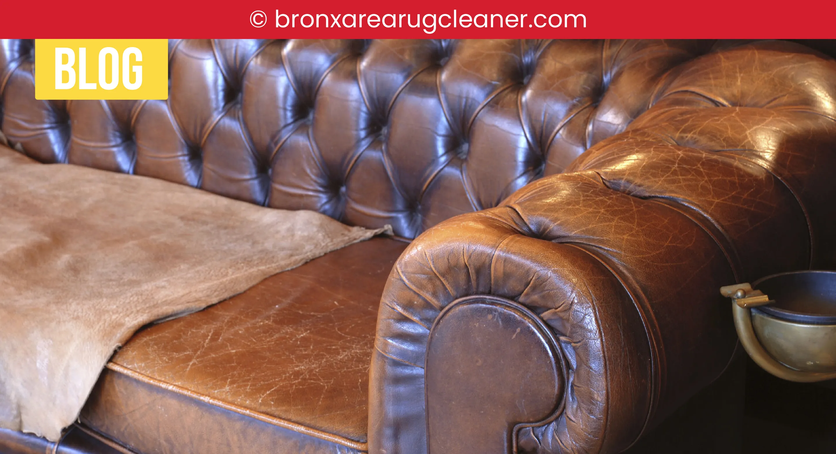 carpet cleaning in bronx, carpet cleaning bronx, carpet cleaners in bronx, carpet cleaners in bronx, commercial carpet cleaning, commercial carpet cleaning in bronx, bronx rug cleaners, rug cleaning services in bronx, same day carpet cleaning, same day rug cleaning in bronx