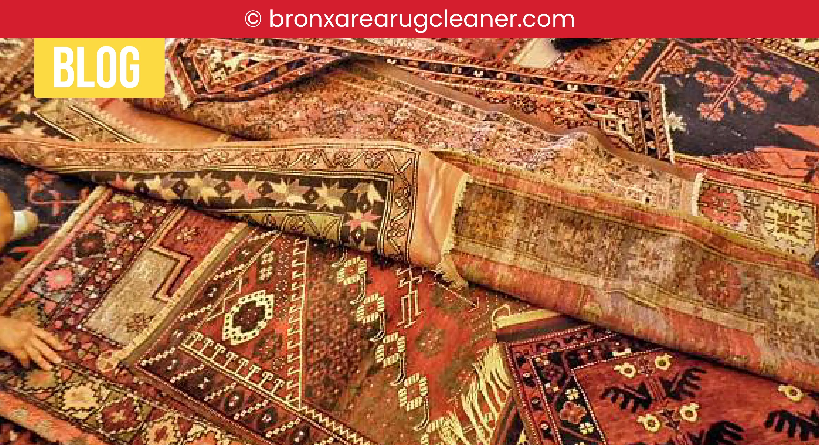 carpet cleaning in bronx, carpet cleaning bronx, carpet cleaners in bronx, carpet cleaners in bronx, commercial carpet cleaning, commercial carpet cleaning in bronx, bronx rug cleaners, rug cleaning services in bronx, same day carpet cleaning, same day rug cleaning in bronx