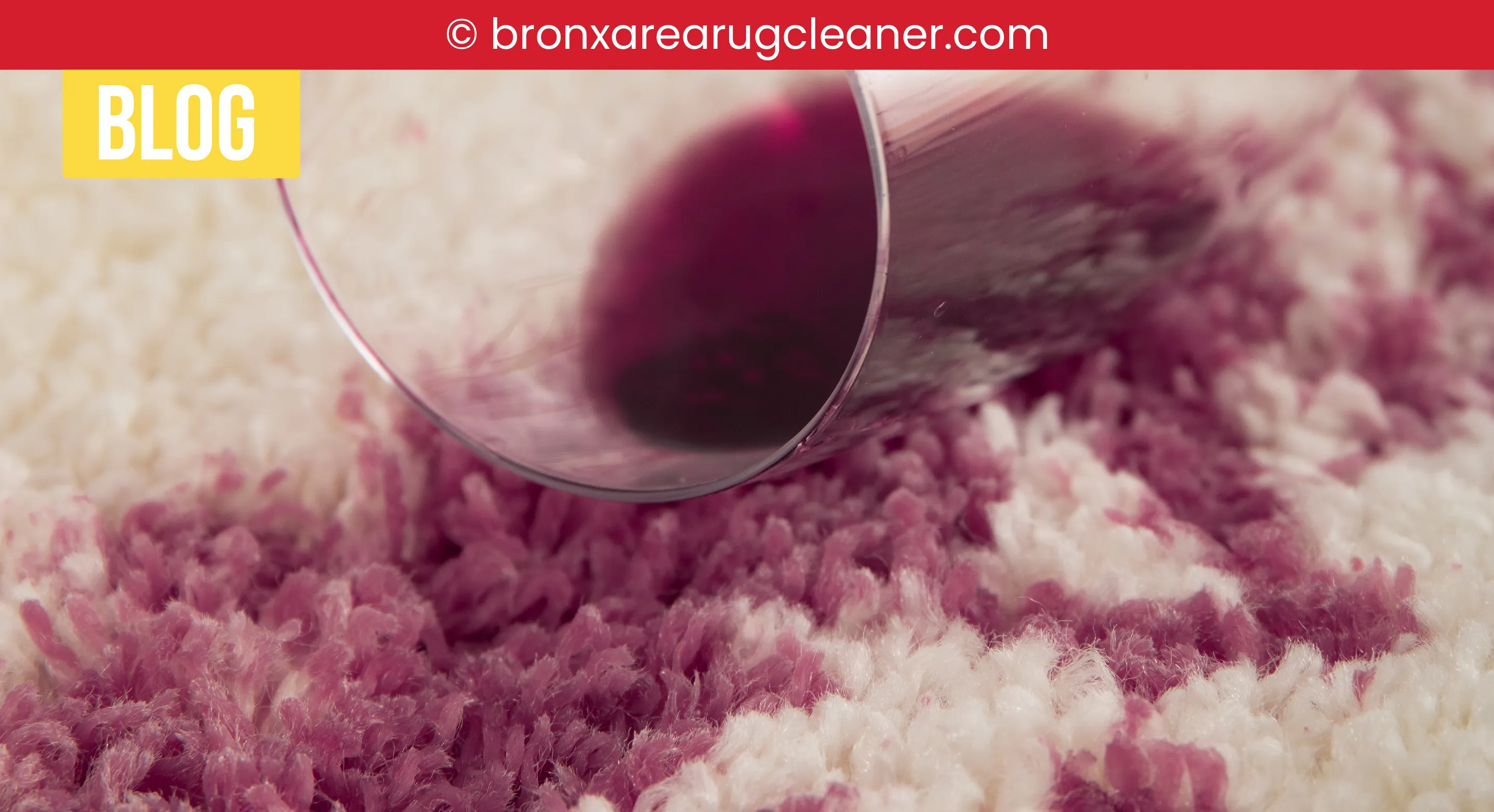 carpet cleaning in bronx, carpet cleaning bronx, carpet cleaners in bronx, carpet cleaners in bronx, commercial carpet cleaning, commercial carpet cleaning in bronx, bronx rug cleaners, rug cleaning services in bronx, same day carpet cleaning, same day rug cleaning in bronx