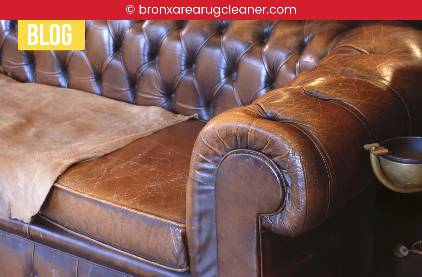 carpet cleaning in bronx, carpet cleaning bronx, carpet cleaners in bronx, carpet cleaners in bronx, commercial carpet cleaning, commercial carpet cleaning in bronx, bronx rug cleaners, rug cleaning services in bronx, same day carpet cleaning, same day rug cleaning in bronx