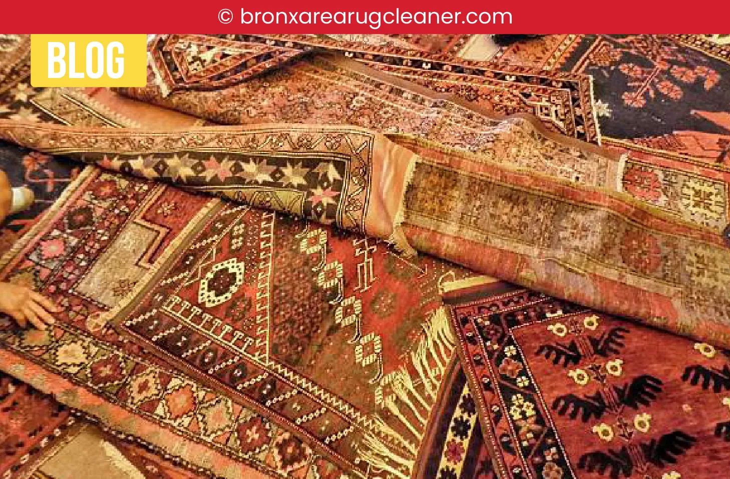 carpet cleaning in bronx, carpet cleaning bronx, carpet cleaners in bronx, carpet cleaners in bronx, commercial carpet cleaning, commercial carpet cleaning in bronx, bronx rug cleaners, rug cleaning services in bronx, same day carpet cleaning, same day rug cleaning in bronx