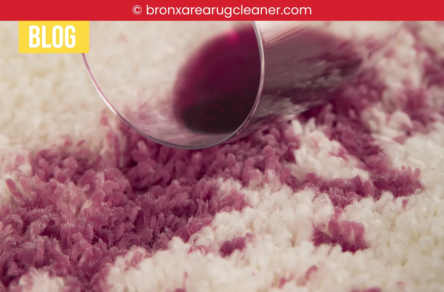 carpet cleaning in bronx, carpet cleaning bronx, carpet cleaners in bronx, carpet cleaners in bronx, commercial carpet cleaning, commercial carpet cleaning in bronx, bronx rug cleaners, rug cleaning services in bronx, same day carpet cleaning, same day rug cleaning in bronx